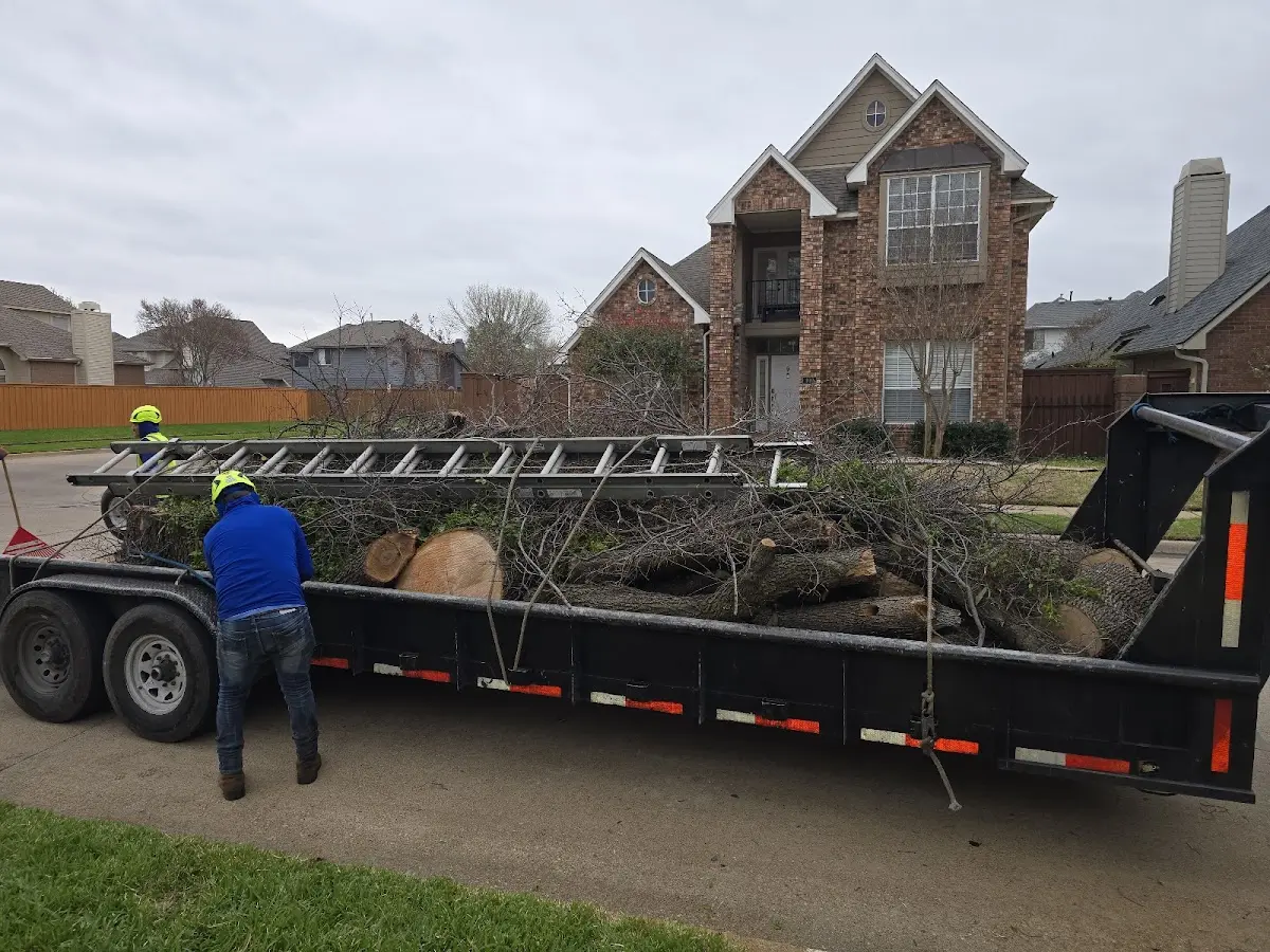 Expert Lot Clearing with proper safety equipment in Lane